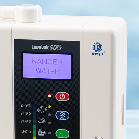 LeveLuk SD501DX - Ảnh 3